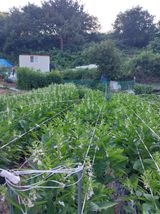 팜모닝 기타작물·자유게시판 게시글 이미지