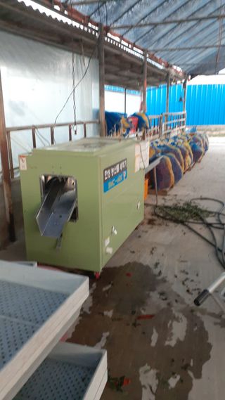 송광만님의 고추 · 수확 작성글 사진