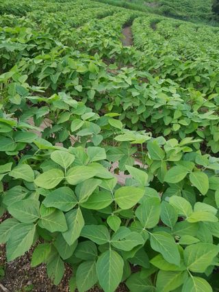 우농부님의 자유주제 · 칭찬해요 작성글 사진