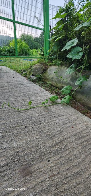 우철28268HQ님의 자유주제 · 자유게시판 작성글 사진
