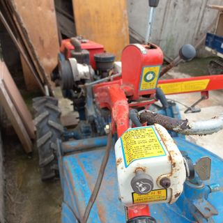 은고개님의 작성글 사진