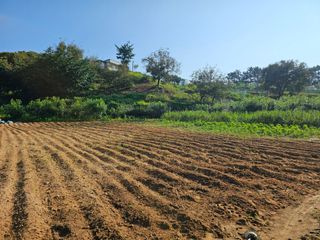 유만종님의 자유주제 · 자유게시판 작성글 사진