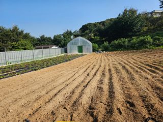 유만종님의 자유주제 · 자유게시판 작성글 사진