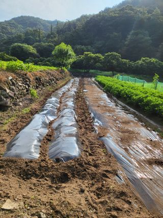 동해리님의 자유주제 · 자유게시판 작성글 사진