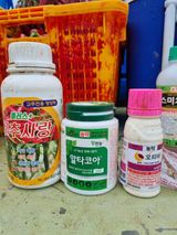 팜모닝 병해충 박멸! 살충제 추천·참여글 게시글 이미지