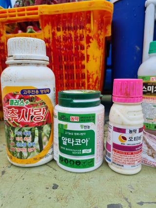 마늘6843님의 병해충 박멸! 살충제 추천 · 참여글 작성글 사진