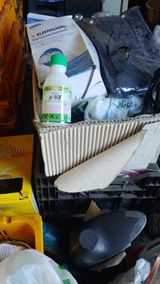 팜모닝 귤·영농일지 게시글 이미지