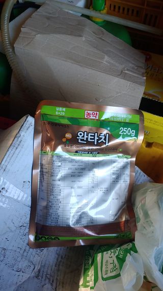 보물섬남자님의 귤 · 영농일지 작성글 사진