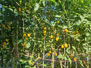 딸기17737님의 우리동네 · 동네수다 작성글 사진