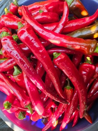 딸기17737님의 우리동네 · 동네수다 작성글 사진