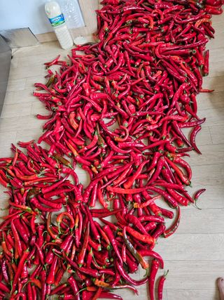 딸기17737님의 우리동네 · 동네수다 작성글 사진