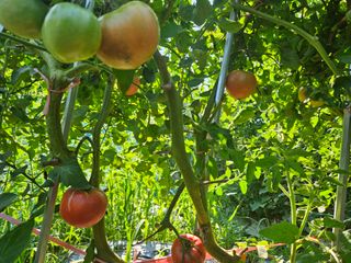 딸기17737님의 우리동네 · 동네수다 작성글 사진