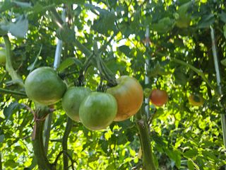 딸기17737님의 우리동네 · 동네수다 작성글 사진