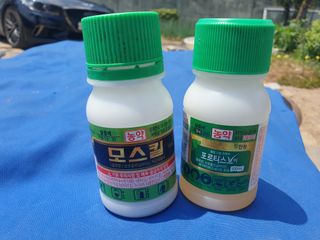 박명흠 님의 병해충 박멸! 살충제 추천 · 참여글 작성글 사진