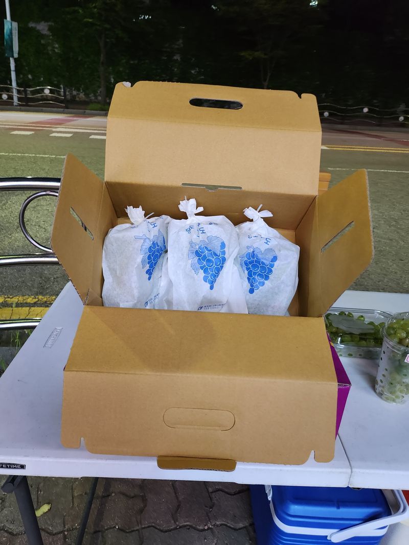 거봉777님의 장터 판매 상품 [청포도2kg] 첨부 사진