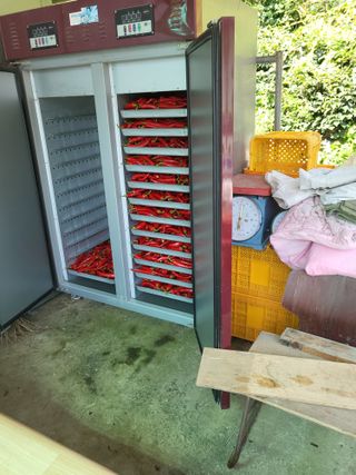 이상욱님의 고추 · 수확 작성글 사진