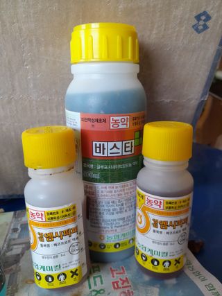 정상훈님의 자유주제 · 자유게시판 작성글 사진