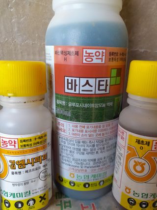 정상훈님의 자유주제 · 자유게시판 작성글 사진