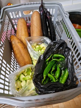 권오정님의 자유주제 · 자유게시판 작성글 사진