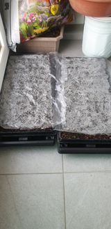 팜모닝 들깨·자유게시판 게시글 이미지