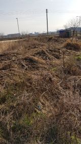 팜모닝 우리동네·동네수다 게시글 이미지