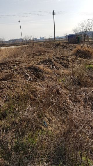 심상화님의 우리동네 · 동네수다 작성글 사진