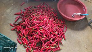 이미경님의 자유주제 · 자유게시판 작성글 사진