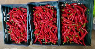 이미경님의 자유주제 · 자유게시판 작성글 사진