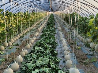 단지바이오님의 자유주제 · 자유게시판 작성글 사진