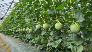 단지바이오님의 자유주제 · 자유게시판 작성글 사진