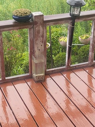 화천힐링님의 자유주제 · 자유게시판 작성글 사진