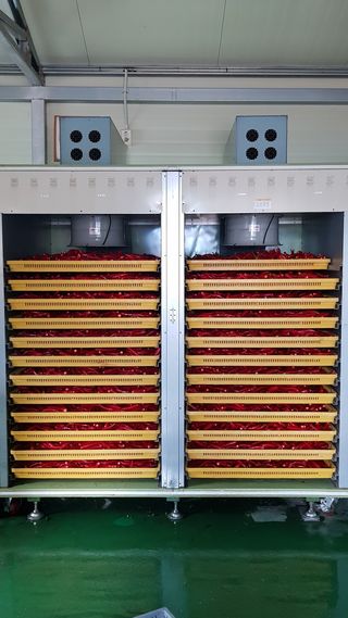 신갑수님의 고추 · 영농일지 작성글 사진