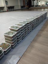 팜모닝 들깨·자유게시판 게시글 이미지