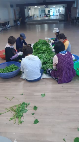 마늘9901님의 들깨 · 자유게시판 작성글 사진