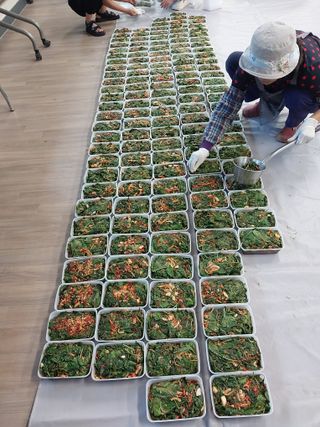 마늘9901님의 들깨 · 자유게시판 작성글 사진