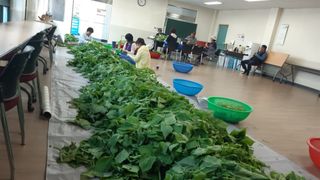 마늘9901님의 들깨 · 자유게시판 작성글 사진