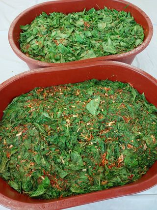 마늘9901님의 들깨 · 자유게시판 작성글 사진