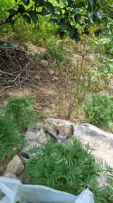 팜모닝 기타작물·자유게시판 게시글 이미지