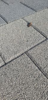 팜모닝 자유주제·자유게시판 게시글 이미지