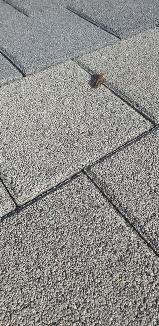 유만종님의 자유주제 · 자유게시판 작성글 사진