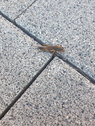 유만종님의 자유주제 · 자유게시판 작성글 사진