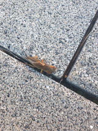 유만종님의 자유주제 · 자유게시판 작성글 사진