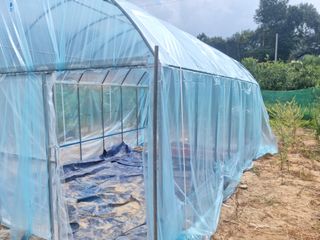 힐링농장님의 고추 · 일상 작성글 사진