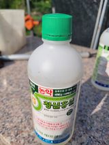 팜모닝 병해충 박멸! 살충제 추천·참여글 게시글 이미지