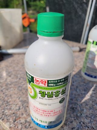 한규헌님의 병해충 박멸! 살충제 추천 · 참여글 작성글 사진