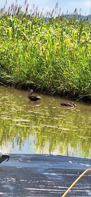 박정화님의 우리동네 · 동네수다 작성글 사진