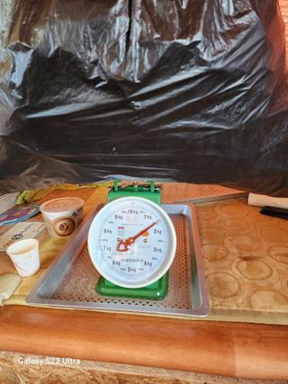 박해용(세건농장)님의 고추 · 수확 작성글 사진