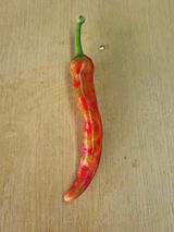 팜모닝 고추·병해충상담 게시글 이미지