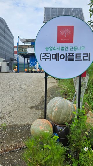 종철아님의 호박 · 자유게시판 작성글 사진