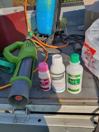 김영복님의 병해충 박멸! 살충제 추천 · 참여글 작성글 사진